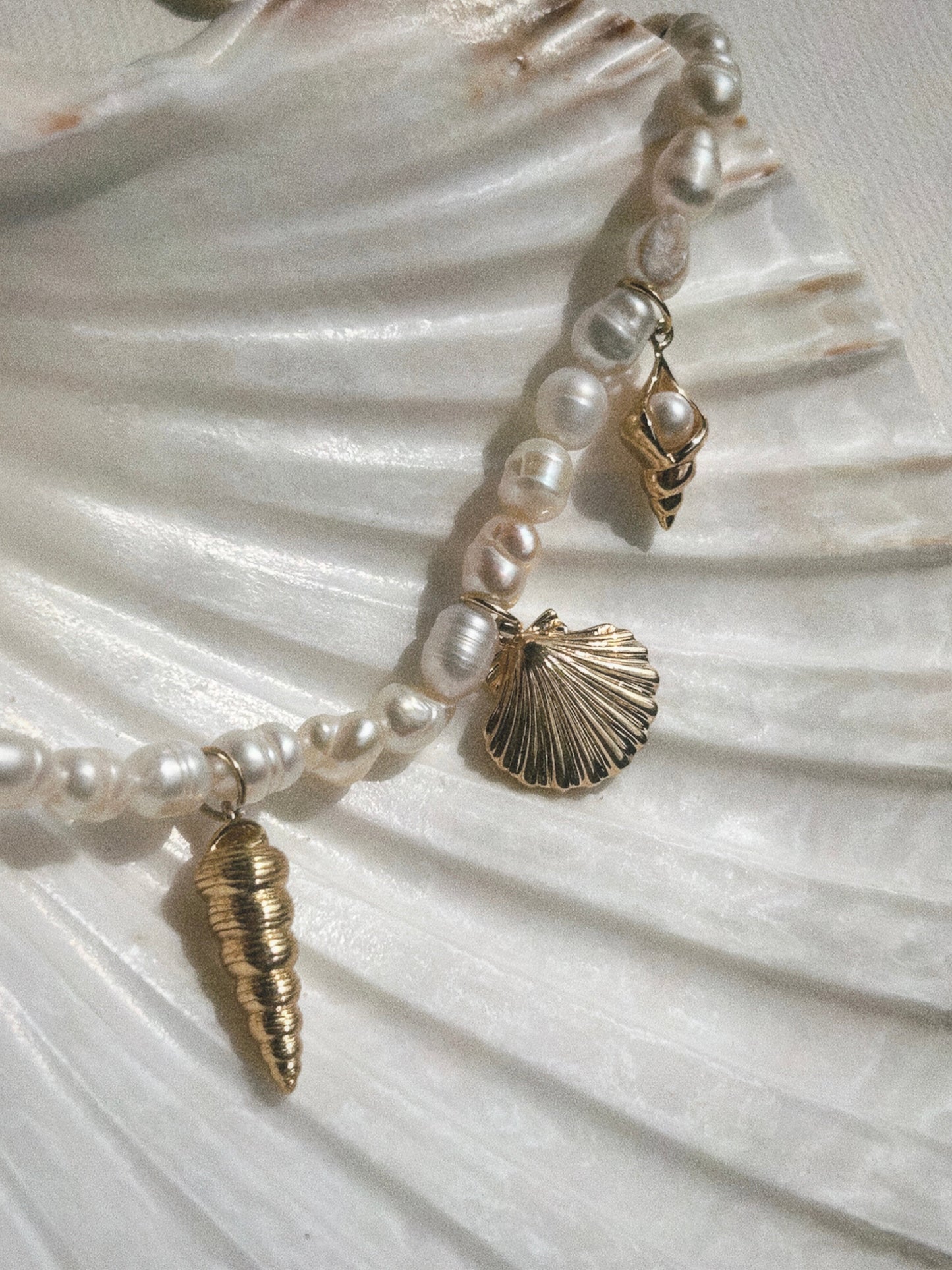 Pippa Spiral Shell Charm