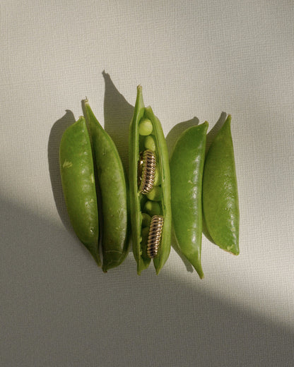 Four pea pods rest on a textured surface; the middle pod is open, revealing two golden screw coils nestled among the peas—an artful fusion of nature and design reminiscent of Mod + Jo’s Elly French Rope Hoops.