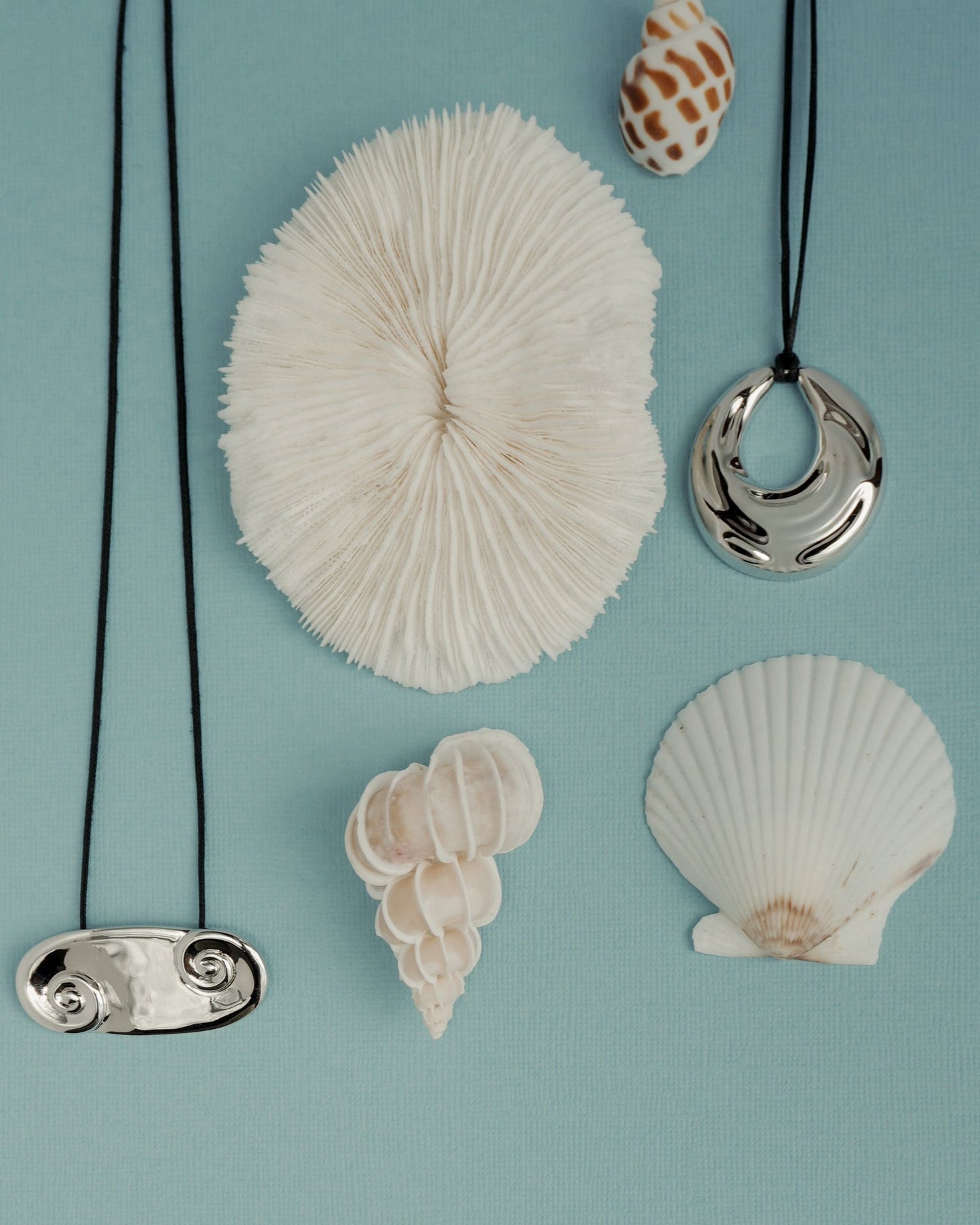 Mod + Jo’s Kira Cord Necklace is featured on a light blue background with white seashells—a round coral, scallop, and spiral shells—for a charming coastal-inspired display.