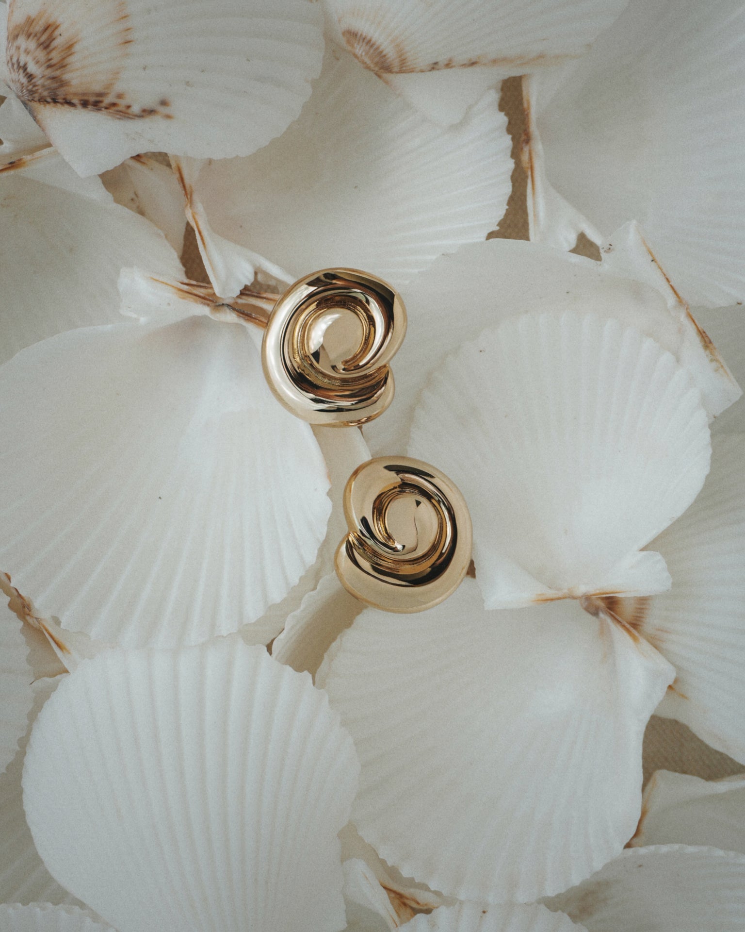 The Milley Spiral Statement Studs by Mod + Jo, crafted in shiny 14k gold, are displayed atop overlapping white scallop seashells with light brown edges.