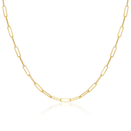 Gene Paperclip Chain Necklace