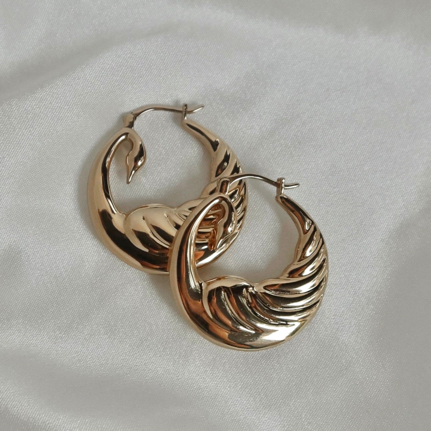 Odette Swan Hoops